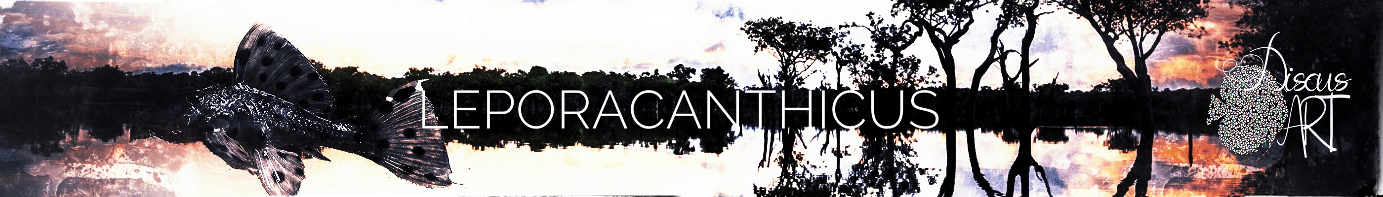 Leporacanthicus - DiscusArt HEADERLEPOR