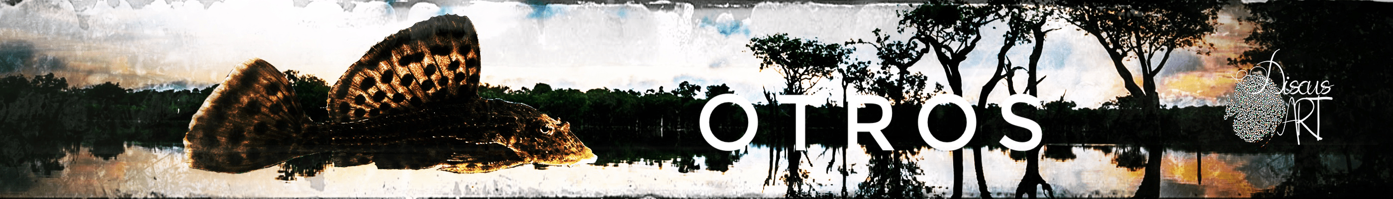 Otros - DiscusArt Otros - DiscusArt