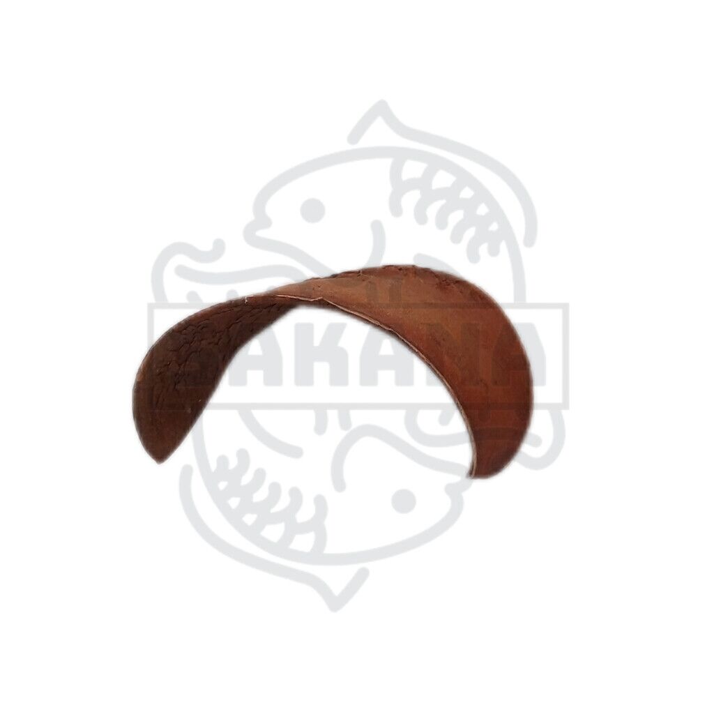 vaina-xylia-sakana-botanicals-2 Vaina Xylia - DiscusArt