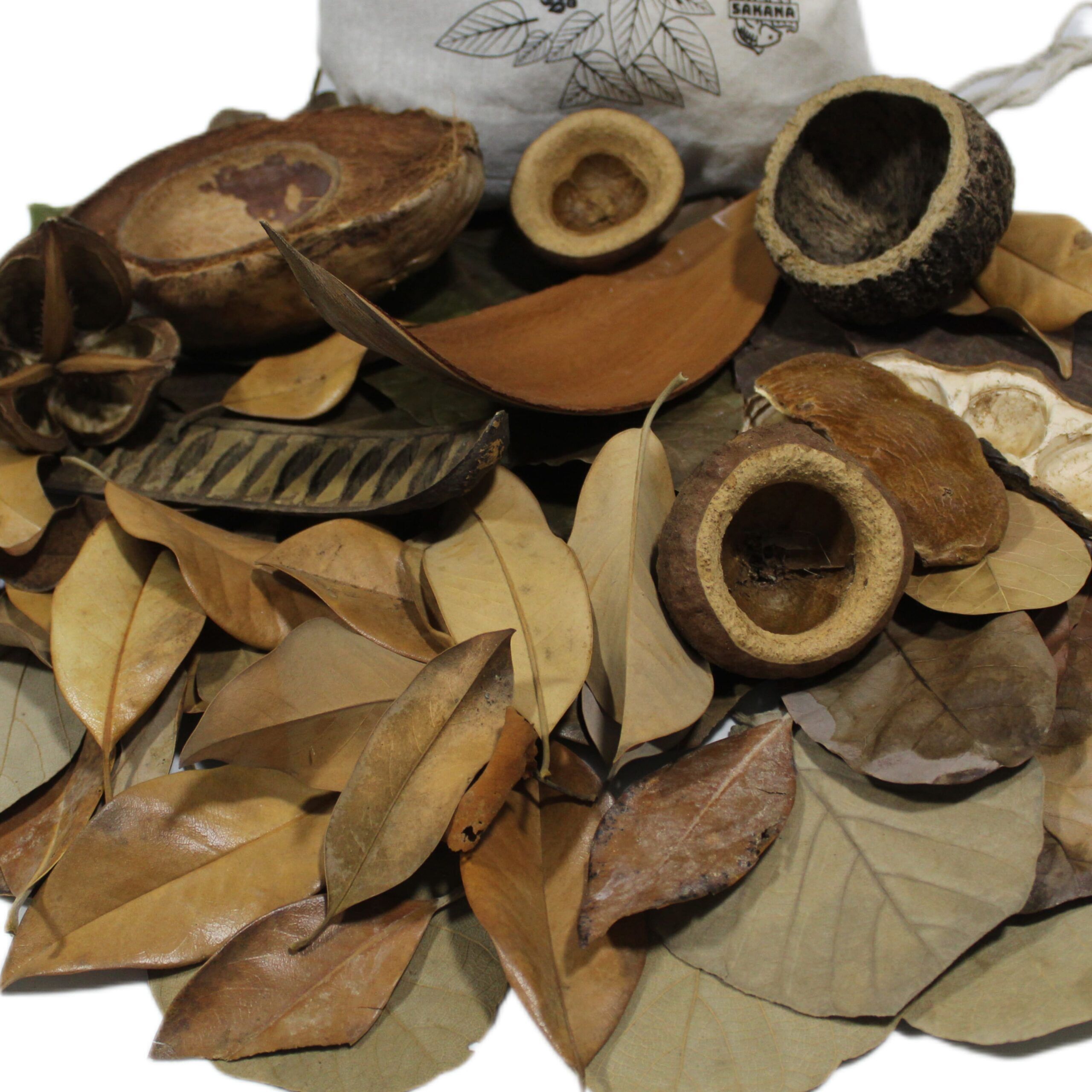 Pleco Pack - DiscusArt